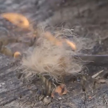 Victorinox 4.1330, комплект: розжиг - 3 шт плюс растопка - 6 шт