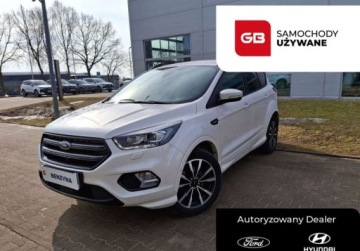 Ford Kuga II SUV Facelifting 1.5 EcoBoost 150KM 2019 Ford Kuga Ford Kuga 1.5 EcoBoost 150KM, ST-line, Salon PL 1.5 Benzyna 150KM