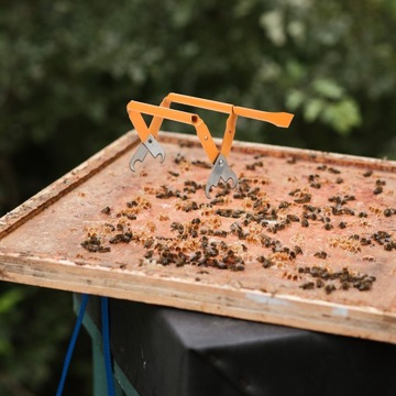 ПРИНАДЛЕЖНОСТИ BEE BEE РУЧКА РУЧКА РАМА