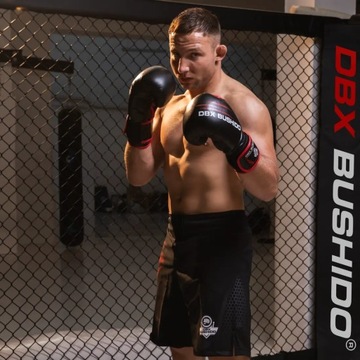 ТРЕНИРОВОЧНЫЕ СПАРИНГОВЫЕ БОКСЕРСКИЕ ПЕРЧАТКИ ИЗ НАТУРАЛЬНОЙ КОЖИ DBX BUSHIDO 12 УНЦИЙ