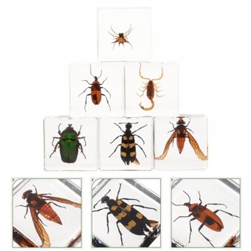 Смоляное украшение в виде насекомых, 6 шт.