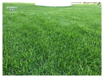 Азотное удобрение Urea GARDEN для цветов туи, газонных хвойных растений, 5кг GREEN OO