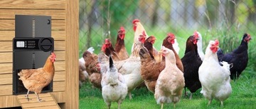 Автоматические двери в курятник с таймером