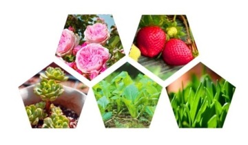 ЛАМПА ДЛЯ РОСТА РАСТЕНИЙ ДЛЯ ОСВЕЩЕНИЯ ПАНЕЛЬ ДЛЯ ВЫРАЩИВАНИЯ ЦВЕТОВ СВЕТОДИОДНАЯ ЛАМПА ДЛЯ ВЫРАЩИВАНИЯ РАСТЕНИЙ