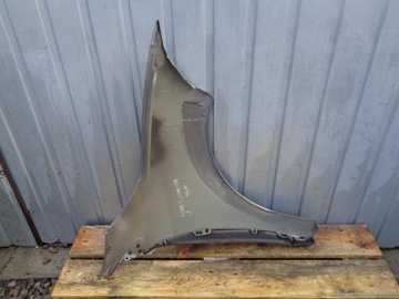 BLATNÍK LEVÉ PŘEDNÍ RENAULT MEGANE 3 III 2008- LAKIER: TEKNG