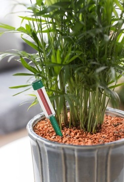 СЕРАМИС подложка для ПАЛЬМ - не разливать, 3л