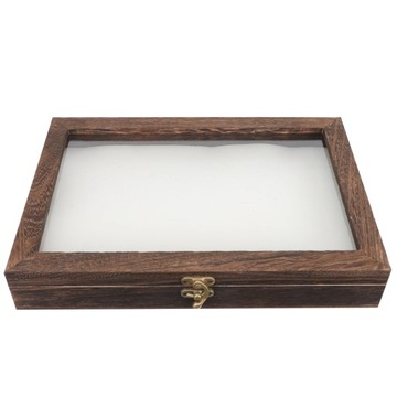 Pudełko na okazy owadów do terrarium