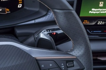 Cupra Terramar 2025 Cupra Terramar Advantage Edition DCC 2.0 TSI 204, zdjęcie 17