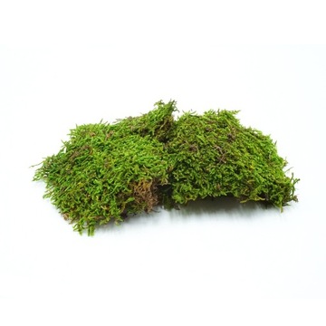 BioFlat Moss Mech płaty 100g