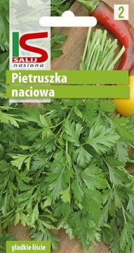 Pietruszka naciowa gładka festival 68 salnas 5g