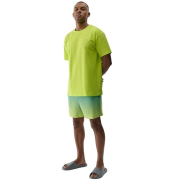 Мужские шорты 4F Спортивные купальники для пляжного бассейна