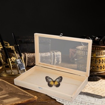 Витрина для насекомых Деревянные образцы бабочек
