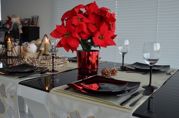 Рождественский цветочный горшок ЛОСОСЬ Вифлеемская звезда