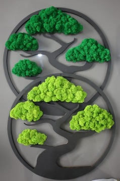 Бонсай древесный мох Премиум изображение 60 см