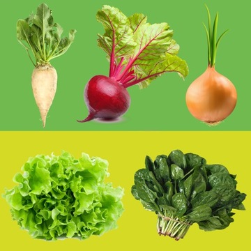 БАЗАЛЬТОВЫЙ Шрот 72 Пружинные элементы и минеральное удобрение для овощей