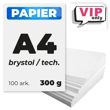 Papier techniczny BRYSTOL biały gruby 300g A4 100 ark.