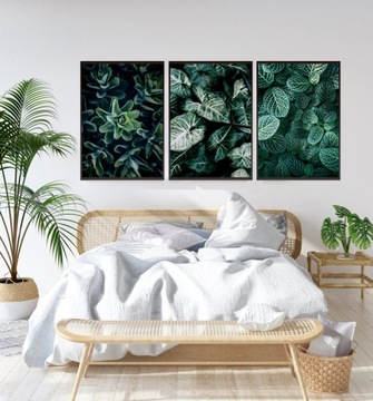 КАРТИНЫ ПОСТЕРЫ НАБОР 3 ШТ. А4 РАСТЕНИЯ ЛИСТЬЯ