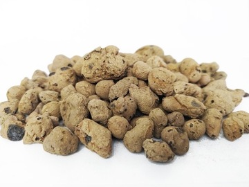 XXXL ПРЕМИУМ НАБОР КАМНЕЙ! ЛЕС В СТЕКЛЯННОЙ БАНКЕ