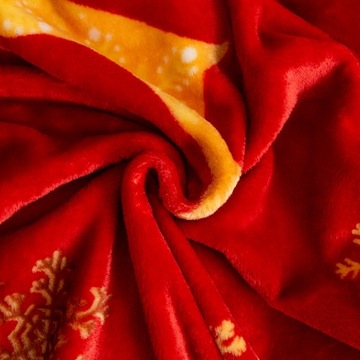 РОЖДЕСТВЕНСКОЕ ОДЕЯЛО 200Х220 ПОКРЫТИЕ SOFT PLED PLUS МИКРОФИБРА РОЖДЕСТВО