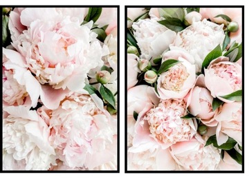 Zestaw 2 plakaty 30x40 peonie kwiaty róż komplet