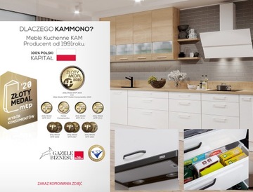 D55.1 - Нижний шкаф KamMono P4