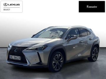 Lexus UX Crossover Facelifting 2.0 250h 184KM 2023 Lexus UX 250h GPF Business 2WD UX250h Business + T