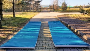 MATA DEZYNFEKCYJNA PRZEJAZDOWA 50x200x5 PLANDEKA