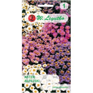 ASTER ALPEJSKI MIX nasiona