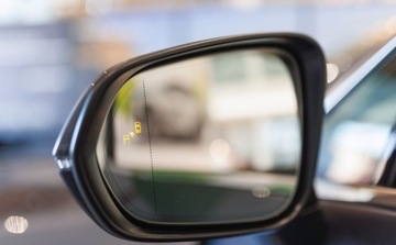 Lexus RX V 2.5 350h 250KM 2024 Lexus RX 350h Prestige 2.5 Hybryda 243KM, zdjęcie 21