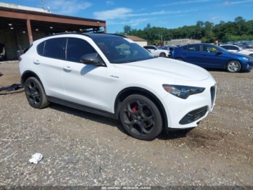 Alfa Romeo Stelvio SUV Facelifting 2023 2.0 GME Turbo 280KM 2024 Alfa Romeo Stelvio Veloce Awd 2024 2.0 Benzyna 280KM, zdjęcie 6