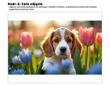 POWIĘKSZENIE ZDJĘCIA 60x60 Odbitka 1:1 ZDJĘCIE DO RAMKI plakat PÓŁMATOWY