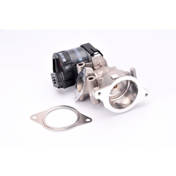 DELPHI EG10396-12B1 Клапан ОГ
