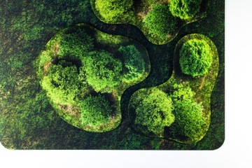 2D НАБОР РЕЗИНОВОГО МЕСТНОСТИ - ЛЕС