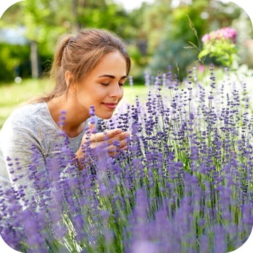 ДЛЯ ЛАВАНДЫ 1 КГ УДОБРЕНИЕ ДЛЯ МНОГО ЦВЕТЕНИЯ ВЫСОКОЭФФЕКТИВНЫЕ МИКРОЭЛЕМЕНТЫ