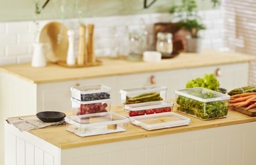 Rotho Food Coldge Container для пищевых фруктов пластиковые овощи 2 л Cauma