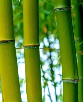 LEGINSY bambusowe GETRY KOLOROWE PEACH SPORT wysoki stan S M