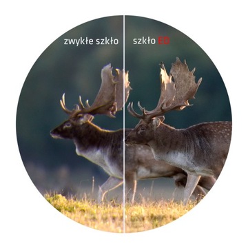 Зрительная труба Delta Optical Titanium 50ED