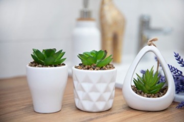 ИСКУССТВЕННЫЕ ЦВЕТКИ ДЕКОРАТИВНЫЕ СУККУЛЕНТНЫЕ 4 ШТ.