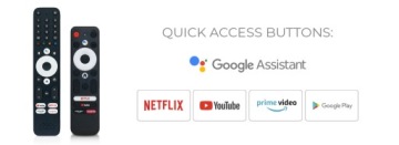 Оригинальный пульт ДУ Homatics Big черный - Box Q, Box R, Box R Lite, Box R Plus