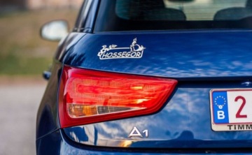 Audi A1 I Sportback 5d Facelifting 1.6 TDI 116KM 2016 Audi A1 Sportback Audi A1 Sportback 1.6 Diesel 116KM, zdjęcie 25