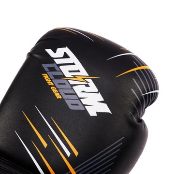 Боксерские перчатки StormCloud StarFall, 10 унций