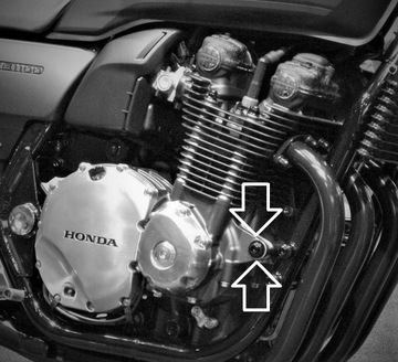 РОЗА | Аварийные накладки, посвященные Honda New CB 1100 Deluxe EX RS