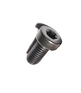 Śruba Torx F01M100684 mocująca głowicę pompy CRx12