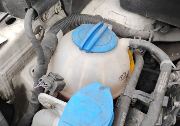 Volkswagen Golf Plus II 2013 Volkswagen Golf Plus 2013r, 1.6 TDI. Lekko uszkodzony lewy bok. Jezdzi., zdjęcie 20