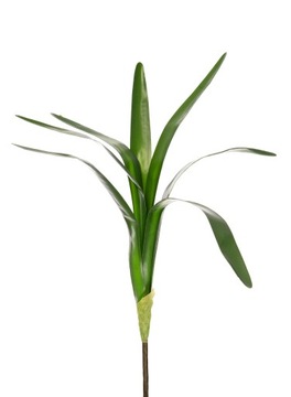 LIŚĆ SZTUCZNY STORCZYKA ZIELONE LIŚCIE CYMBIDIUM KWIATY DO KOMPOZYCJI 50cm
