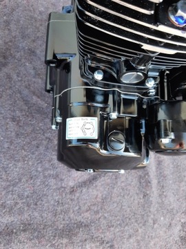 Кросс двигатель 200 LONCIN 163 FML