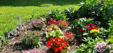 Газон EDGE Sidewalk BORDER 50м +200 KOTW Bordery Eko Geo 45см