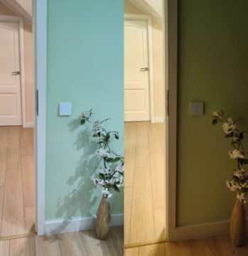 TUYA ZigBee Сенсорный выключатель 3 цвета белый #без N