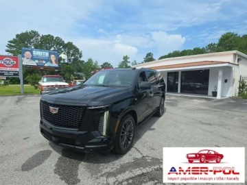 Cadillac Escalade III 2025 Cadillac Escalade 2025r., Sport Platinum, 6.2L, 4x4 6.2 Benzyna 420KM