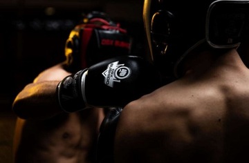 Тренировочные боксерские перчатки весом 8 унций ARB407A BUSHIDO